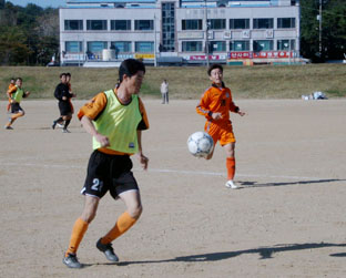 당진읍 우승, 순성면 준우승