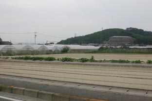 ▲ JFE스틸 서일본제철소 인근 농업의 모습. 뒤로 산 너머에는 제철소가 보이고, 비닐하우스 시설을 한 채 근교농업이 이뤄지고 있다.