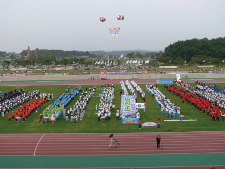 ▲ 제 15회 충남도민 생활문화축제 개막식에서 각 시·군 선수단이 경기장에 도열해 있다.