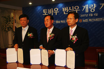 ▲ 당진축협의 토바우사업단과 충남축산기술연구소 등이 토바우 번식우 개량을 위한 기술 협력을 체결했다.