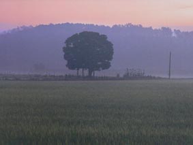 [당진풍경전시회]“흘러가는 시간을 잡는다”