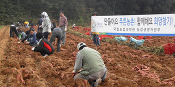 농촌일손돕기 나선 농촌진흥청 직원들