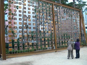 빛 속에서 빛을 따라가다