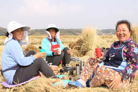 “가을 논에서 커피 한 잔”