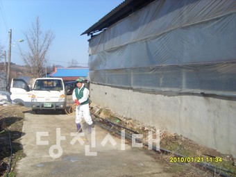 ▲ 면천면새마을협의회부녀회가 매주 면내 방역사업을 실시하고 있다.