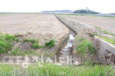 ▲ 농번기가 한창인 요즘 석문간척농지에는 농민들의 모습을 보기 힘들다. 한 영농법인이 임대받은 논의 모습. 타 작물을 재배하기 위해 배수로를 정비해 놓았다.
