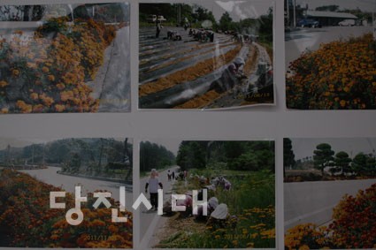 ▲ 우리마을사랑운동 최우수마을로 선정된 대호지면 출포리의 활동사진.