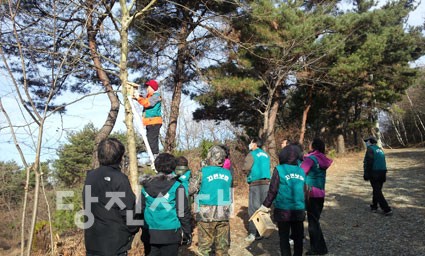 ▲ 자연보호협회 회원들이 새집을 달고 있다.
