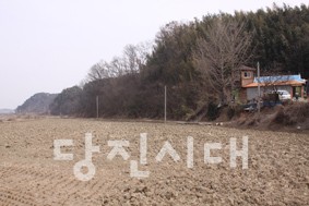 거북산의 모습