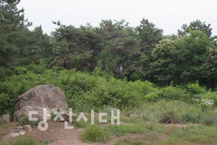 바위 뒤로 수풀이 무성한 곳이 토성이 있던 자리다.