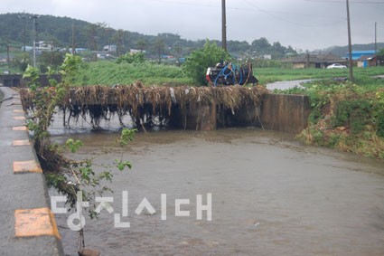 대호지면 마룡천이 범람했다.