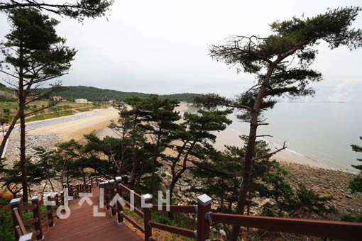 ▲ 바다가 보이는 둘레길 산책로
