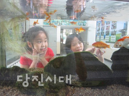 ▲ 교내 수족관에서 학생들이 물고기를 관찰하고 있다.