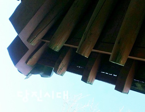 한 시민이 제보한 아미산 정상에 있는 정자의 서까래가 썩어가고 있는 모습.