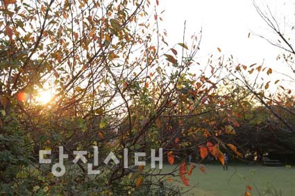 가을·음악·미술이 어우러진 아미미술관