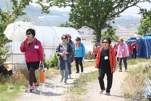 ▲ 삼성산성당 신자들이 원머리성지 도보순례를 하고 있다.