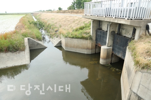 ▲ 대규모 축분이 무단으로 방류된 석문호 수문 인근