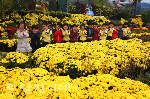 ▲ 2016 당진국화전시회가 지난달 28일부터 지난 6일까지 당진시농업기술센터 일원에서 열렸다.