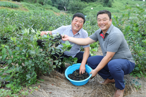 ▲ 대호지면 해풍영농조합법인의 한충기·노종철 씨