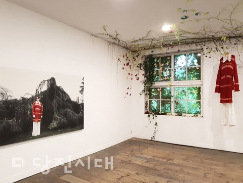 ▲ 아미미술관에서 진행 중인 부토 콜렉션 전시