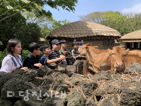 ▲ 1박2일로 제주도 다녀온 신촌초등학교 학생들