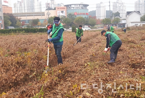 새마을  소식