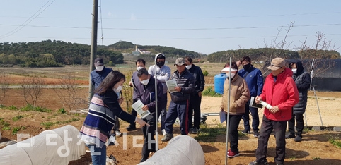 ▲ 지난 23일 귀농 현장애로지원단이 석문면 삼봉리 고추 선도농가에서 현장교육을 실시했다.