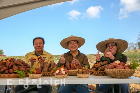 해나루황토고구마축제 온라인으로 즐기세요!