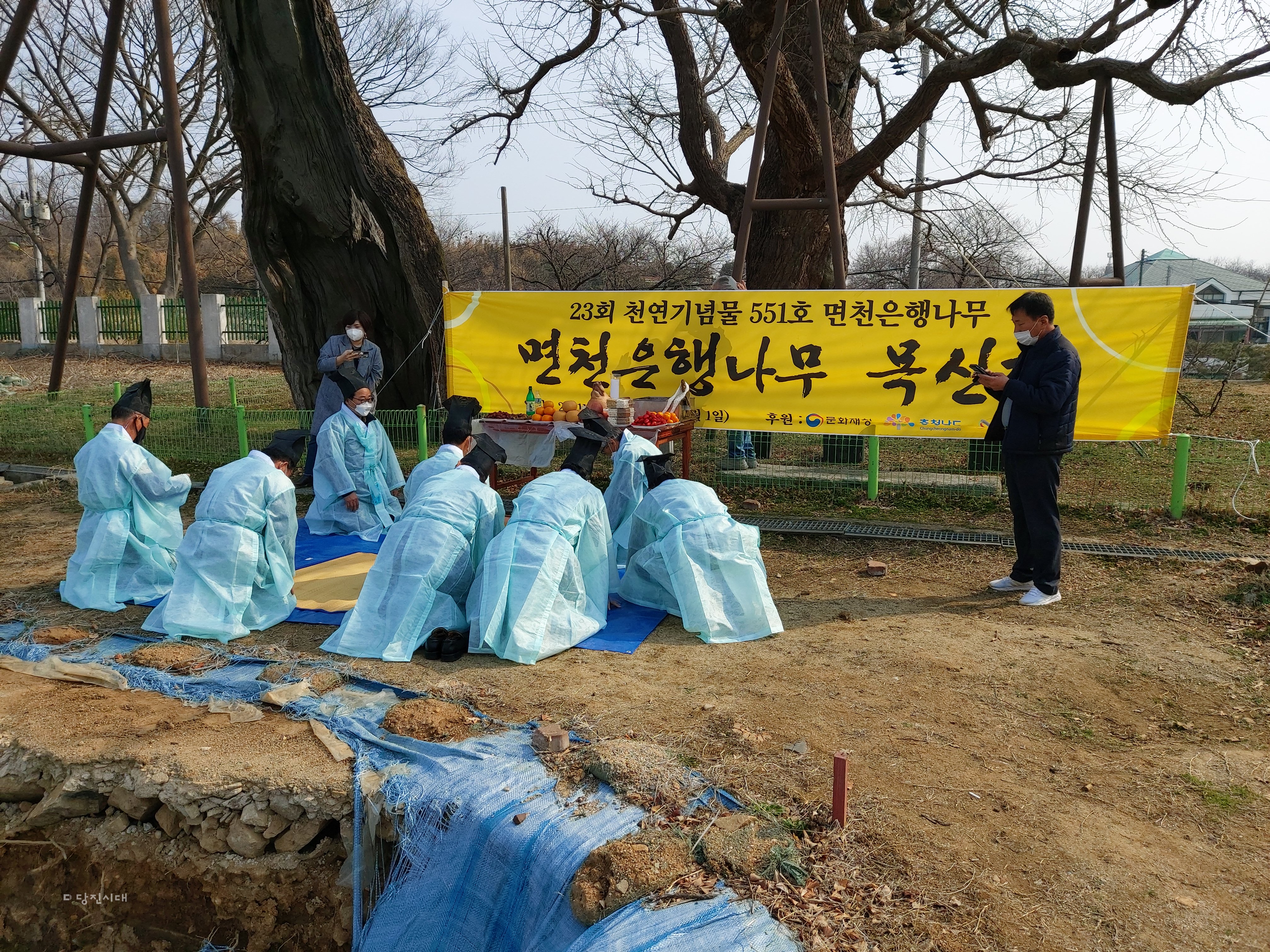 ▲ 면천은행나무회가 제23회 면천은행나무 목신제를 지난 13일 개최하며 코로나19 종식과 국태민안을 기원했다.