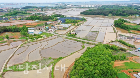 ▲ 드론으로 본 송악읍 오곡리 전경