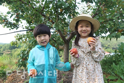 ▲ 해나루팜에서 살구 수확체험에 나선 신하준, 심지연 어린이