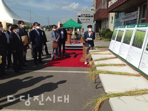 ▲ 지난 5일 송악읍 석포리에 위치한 당진해나루쌀조합공동사업장에서 지역특화 벼 품종선발 현장 평가회가 열렸다.