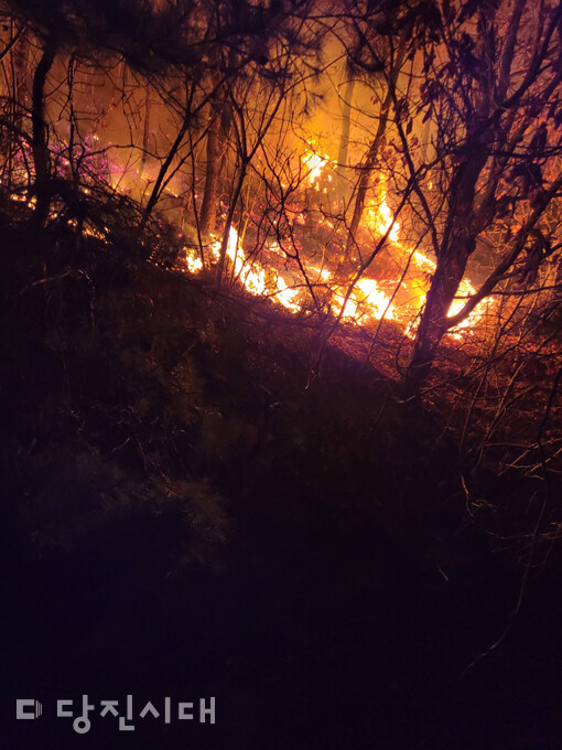 지난 11일 석문면 난지도리의 한 산에서 산불이 발생했다. (사진=난지섬 주민 방진규 씨 제공)