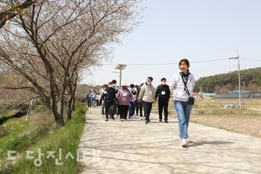 순성면 갈산리 벚꽃길을 거닐고 있는 참가자들.