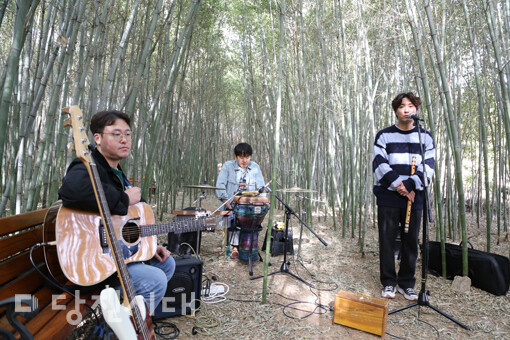 대나무 숲에서 음악 공연을 펼치고 있는 월드뮤직 반디