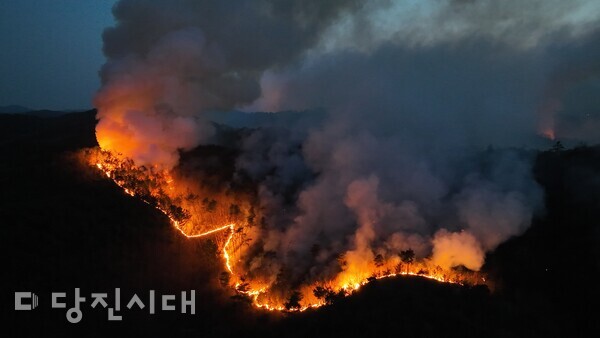 지난 2일부터 4일까지 대호지면 사성리 일대에서 산불이 이어져 68ha의 산림이 소실됐다.