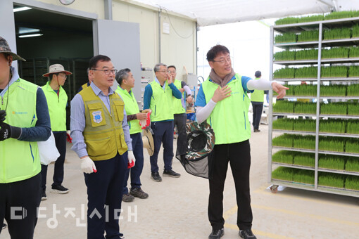 지난 11일 송산농협 벼 육묘장에서 농촌일손돕기가 진행됐다.