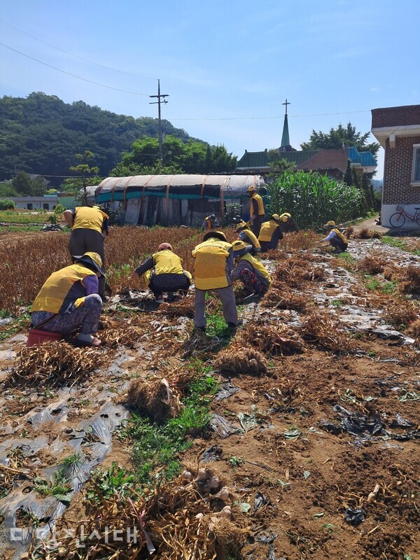 용연1통 경로당 봉사단이 지역 내 독거노인 가정에서 일손돕기 봉사를 실시했다.