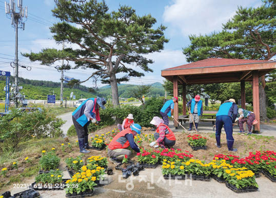 수당리 주민들이 마을 곳곳에 꽃을 심어 아름다운 마을로 가꾸고 있다.