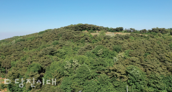 망객산
