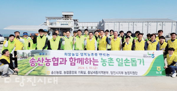 농협중앙회 기획실·농협중앙회 당진시지부·송산농협 임직원으로 구성된 영농봉사단이 송산농협 육묘장에서 일손 돕기를 했다.