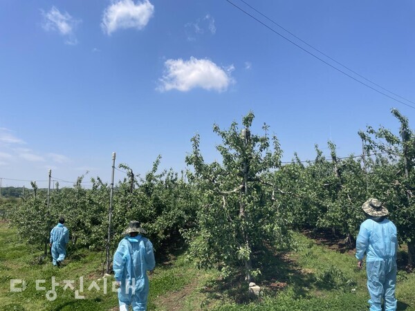 과수화상병 예찰
