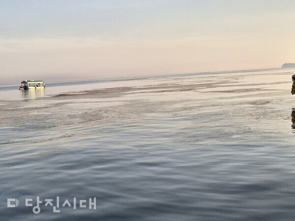 지난달 14일 석문면 앞바다에서 정체불명의 부유물이 떠다닌 것이 관찰됐다. (사진=어민 제공)