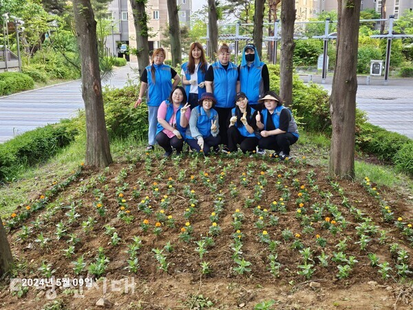 부녀회원들이 우리마을 사랑운동에 참여, 메리골드와 백일홍을 심고 꽃밭을 가꾸고 있다.