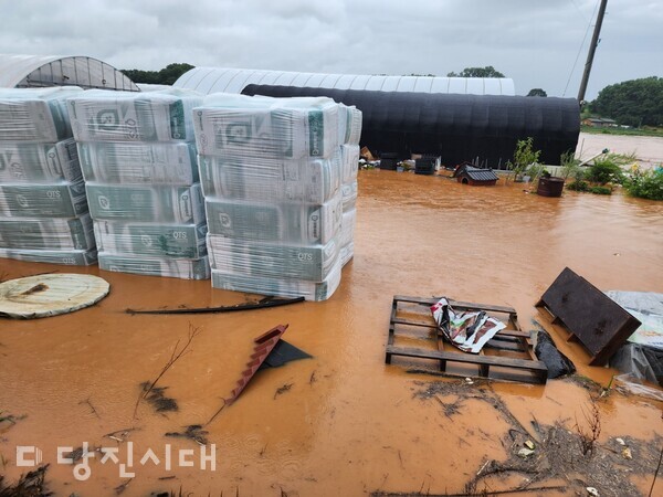 순성면 광천리 수해 피해 모습