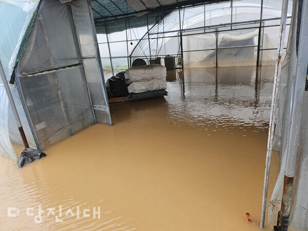 순성면 광천리 수해 피해 모습