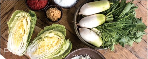 이해를 돕기 위한 자료사진입니다.