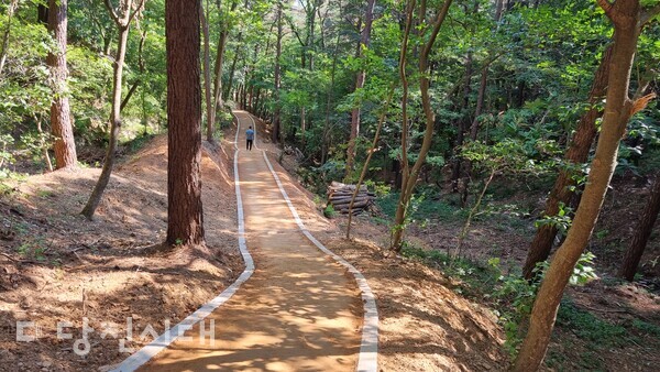 계림공원 내 맨발산책로