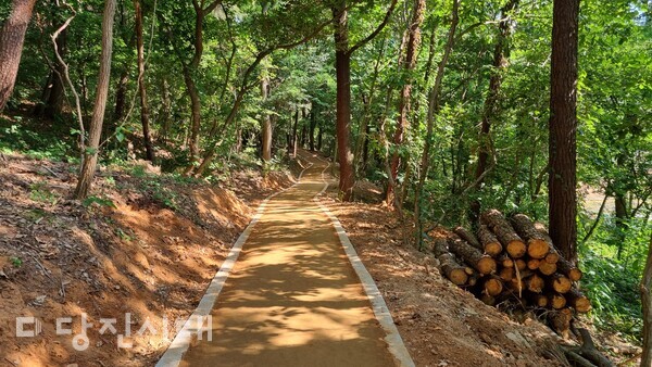 계림공원 내 맨발산책로