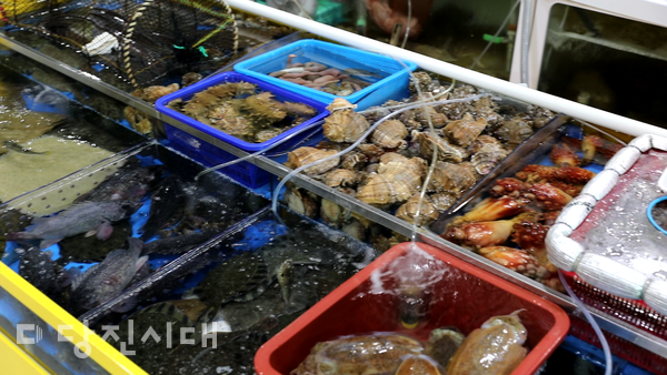 당진시 수산물유통센터 내 다양한 종류의 수산물들